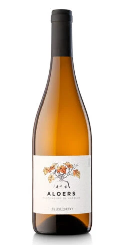 Aloers 2019