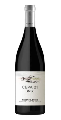 Cepa 21 2020