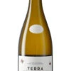 Terra Vermella De Nin 2015 2 Terra Vermella De Nin 2015 -Vinos Serie Tienda terra vermella de nin blanco de guarda sc